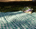 Mantel Picnic Verde