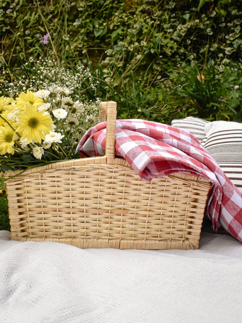 Mantel de Picnic Rojo